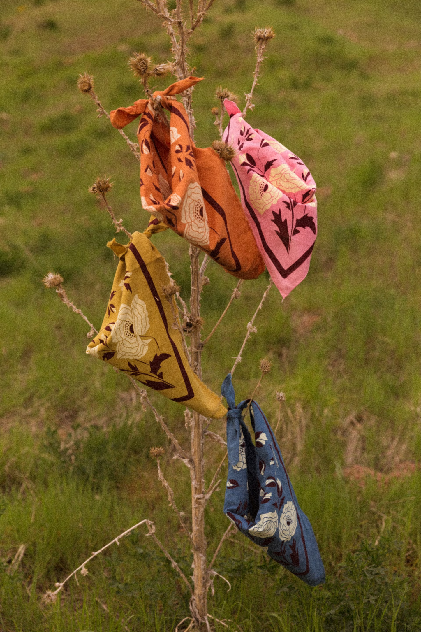 Coastal Cowgirl Bandana